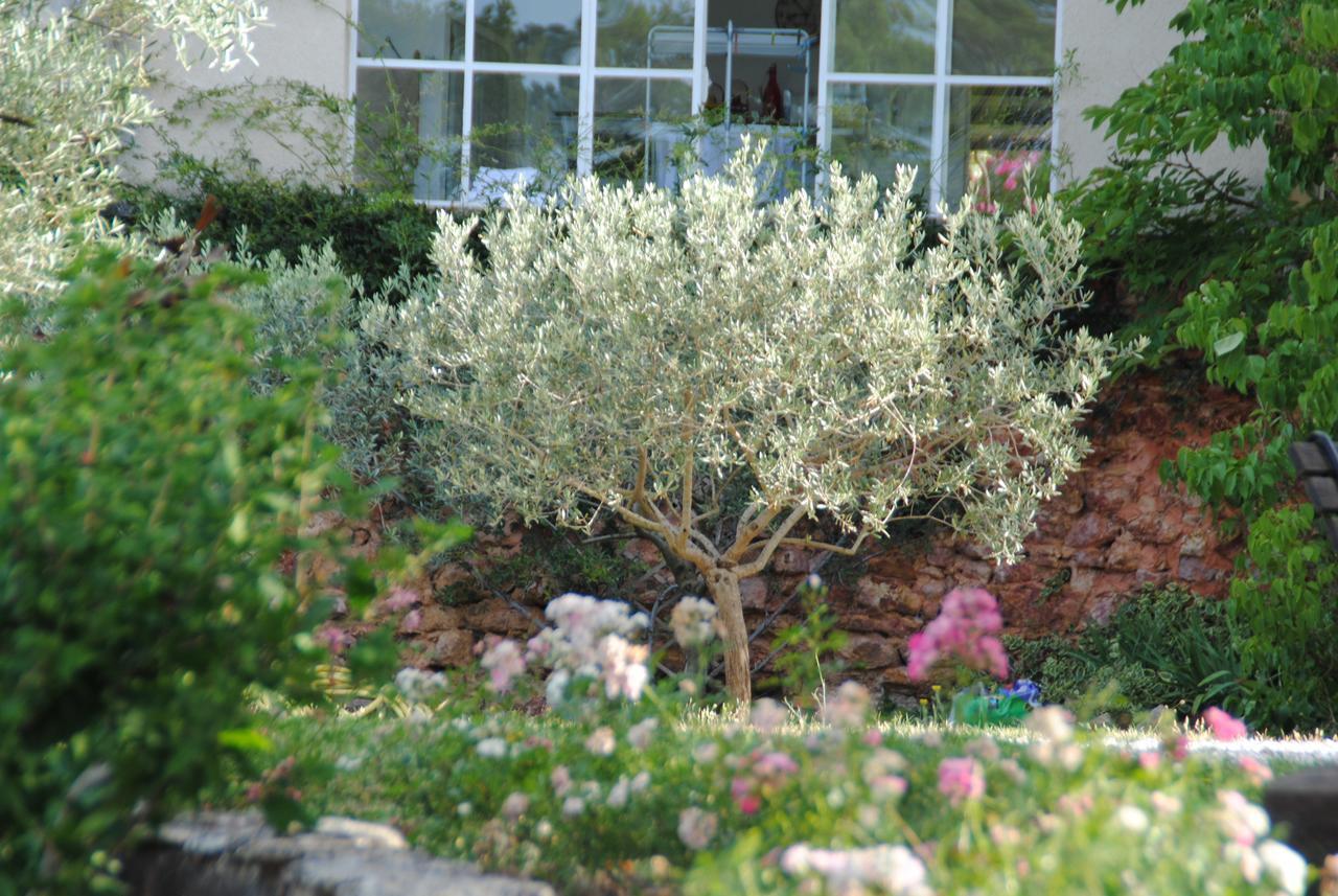 B&B La Badelle Gordes Exteriör bild